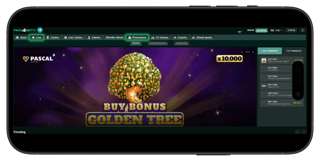 What You Can Access After Login